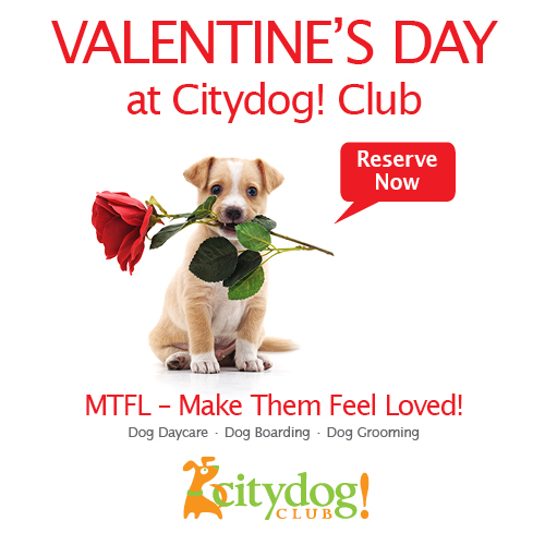 Reserve Now For Valentine’s Day!